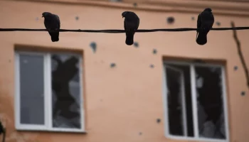 Село Курковичи Брянской области попало под обстрел ВСУ