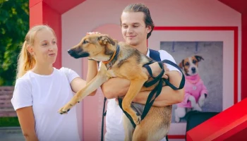 Собянин: благотворительный фестиваль "Город неравнодушных" пройдет в Москве 6 и 7 июля