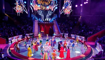 Увлекательное шоу в Цирке Никулина 2020