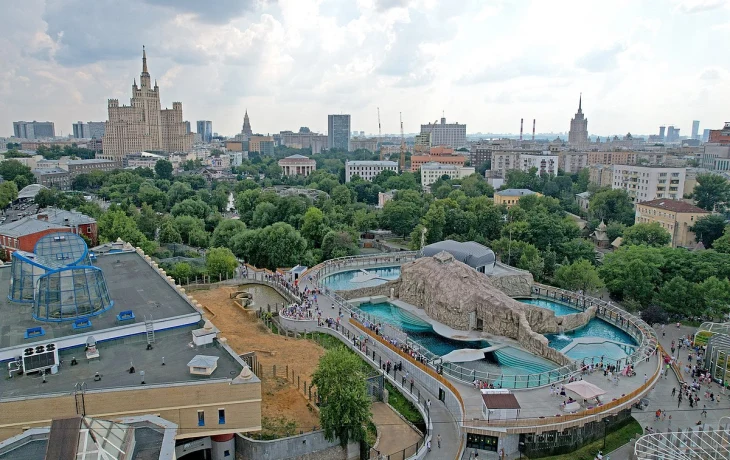 Поездка в Москву с детьми: лучшие музеи и развлечения для всей семьи