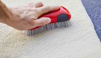 Заказ качественной химчистки и ее разновидности