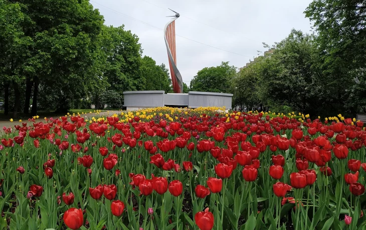 Сиреневый бульвар 1