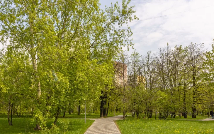 Сиреневый бульвар 3