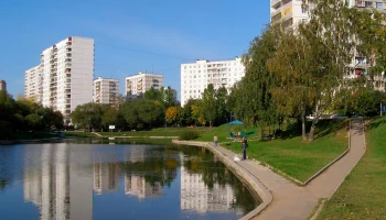 Восточное Дегунино район