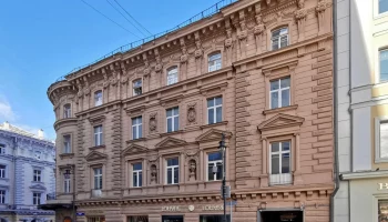 Петровские линии