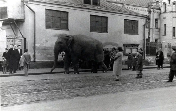 Дурова улица 3