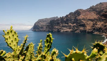 Лучшее время для отдыха на Канарских островах: когда ехать и куда отправиться?