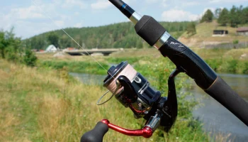 Рыболовные снасти: как правильно выбрать оборудование для успешной рыбалки