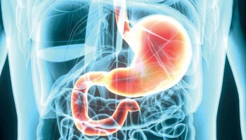 Гастрит и дуоденит: что нужно знать?