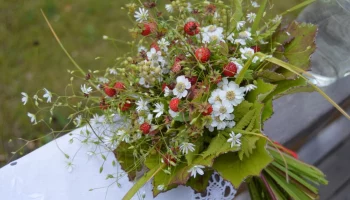 Русский букет &mdash; сервис доставки цветов по Москве, России и миру