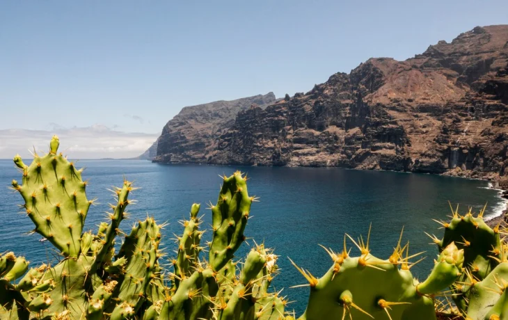 Лучшее время для отдыха на Канарских островах: когда ехать и куда отправиться?