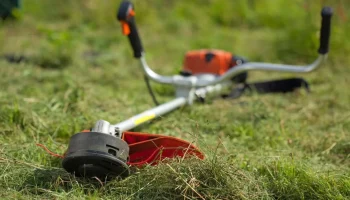Триммер бензиновый - всегда ухоженный сад