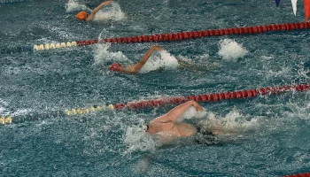 Школа плавания "Народный спорт": где начинается ваше приключение в мире водных видов спорта