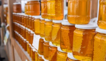 &laquo;Мёд России&raquo;: 25 лет на рынке оптовых продаж мёда