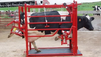 Преимущества станков для обрезки копыт