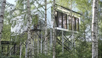 Дома на дереве в Подмосковье: возвращение к природе на высоте