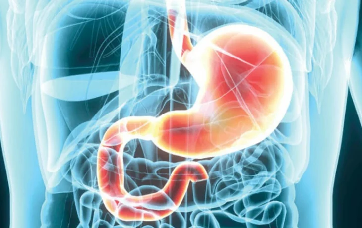 Гастрит и дуоденит: что нужно знать?