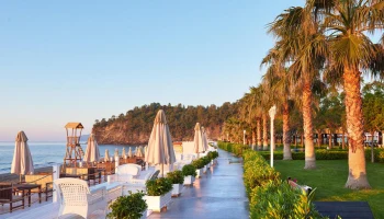 Поиск туров онлайн от всех туроператоров: как найти лучшие предложения