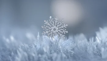 Ювелирный дом MIUZ Diamonds запечатлел душу зимы в коллекции &laquo;АЛЬМА&raquo;